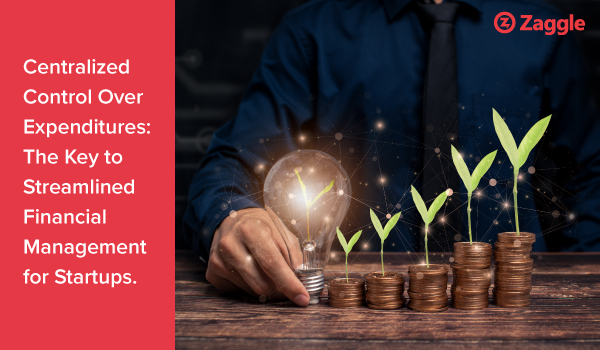 Centralized Control Over Expenditures: The Key To Streamlined Financial Management For Startups